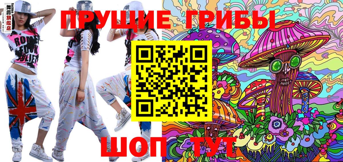 Псилоцибиновые грибы Psilocybine cubensis Санкт-Петербург