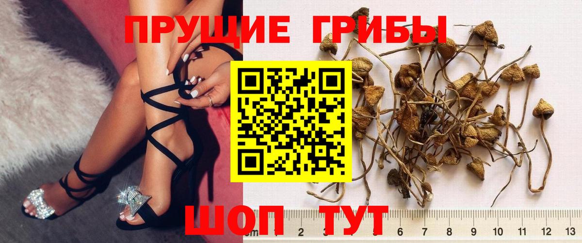 Псилоцибиновые грибы мухоморы  Вход с VPN  Санкт-Петербург 